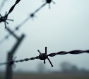 Связали руки скотчем, угрожали монтировкой: двоих сахалинцев судили за кражу 60 литров икры