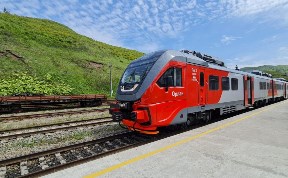 Общество