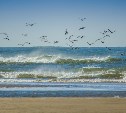 Собираемся на природу: до +18 °C ожидается на Сахалине в пятницу