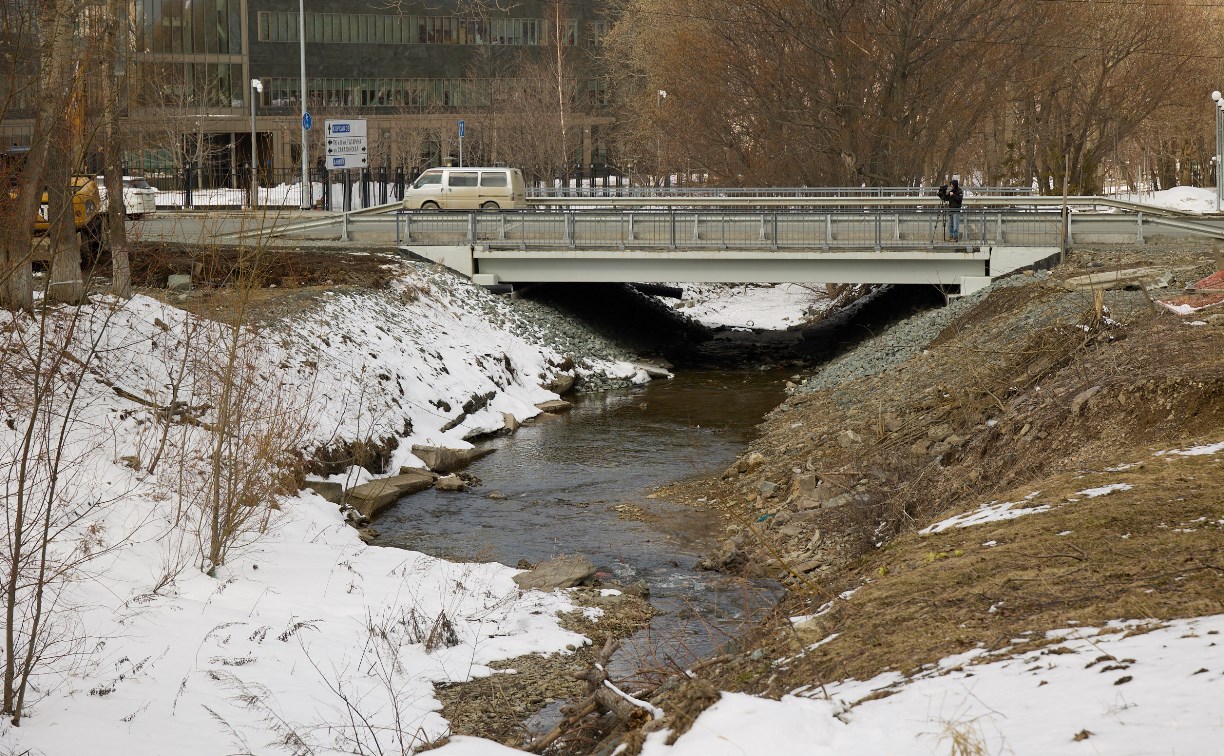 В Южно-Сахалинске приступили к расчистке русла реки Рогатки