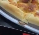 В крупном торговом центре Южно-Сахалинска тараканы смело гуляют по пицце 