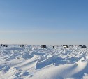 Сахалинцам грозит штраф до 4500 рублей за выезд на лёд: инспекторы СКТУ обследуют водоёмы