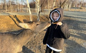 Общество