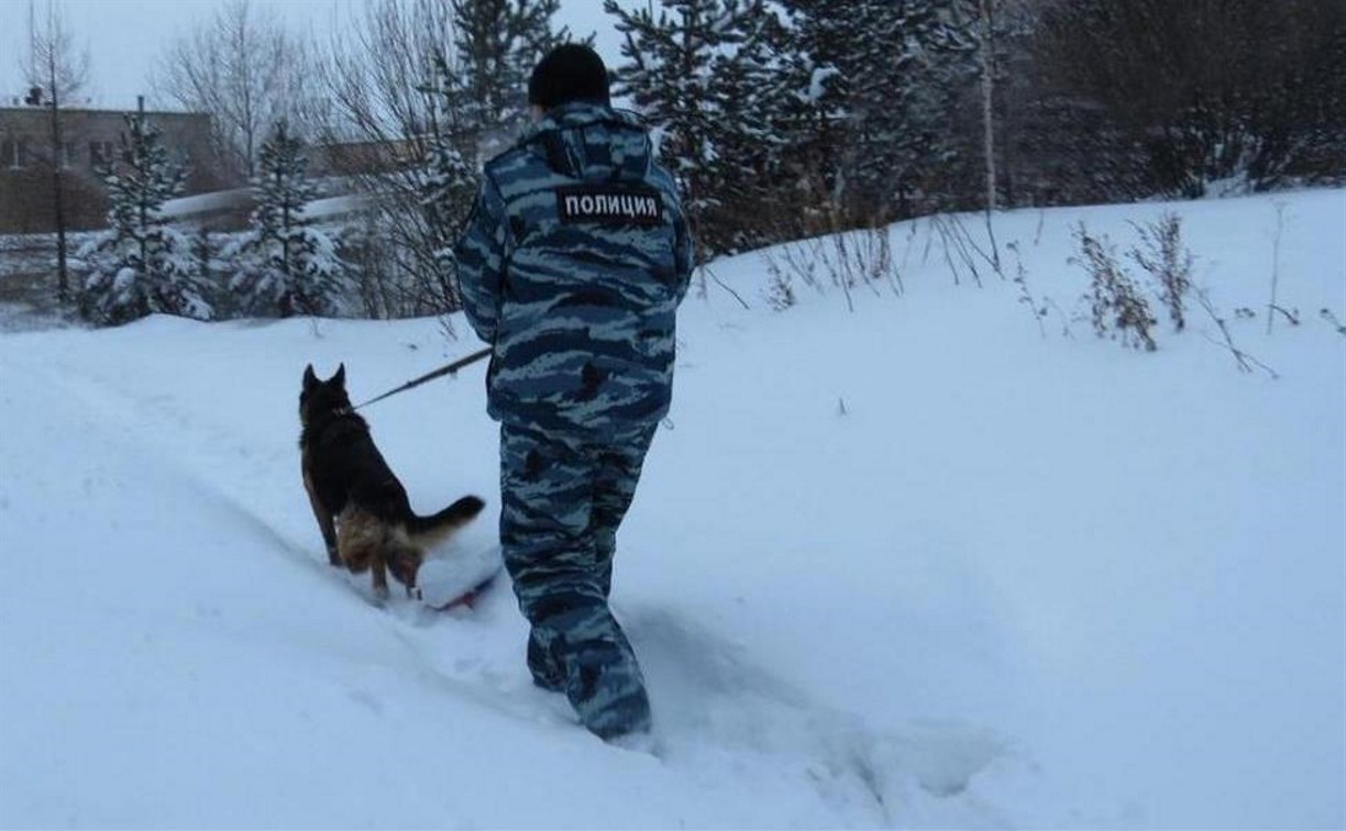 Полиция Долинска благодарит неравнодушных земляков, вышедших на поиск пропавшей девочки