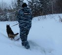 Полиция Долинска благодарит неравнодушных земляков, вышедших на поиск пропавшей девочки