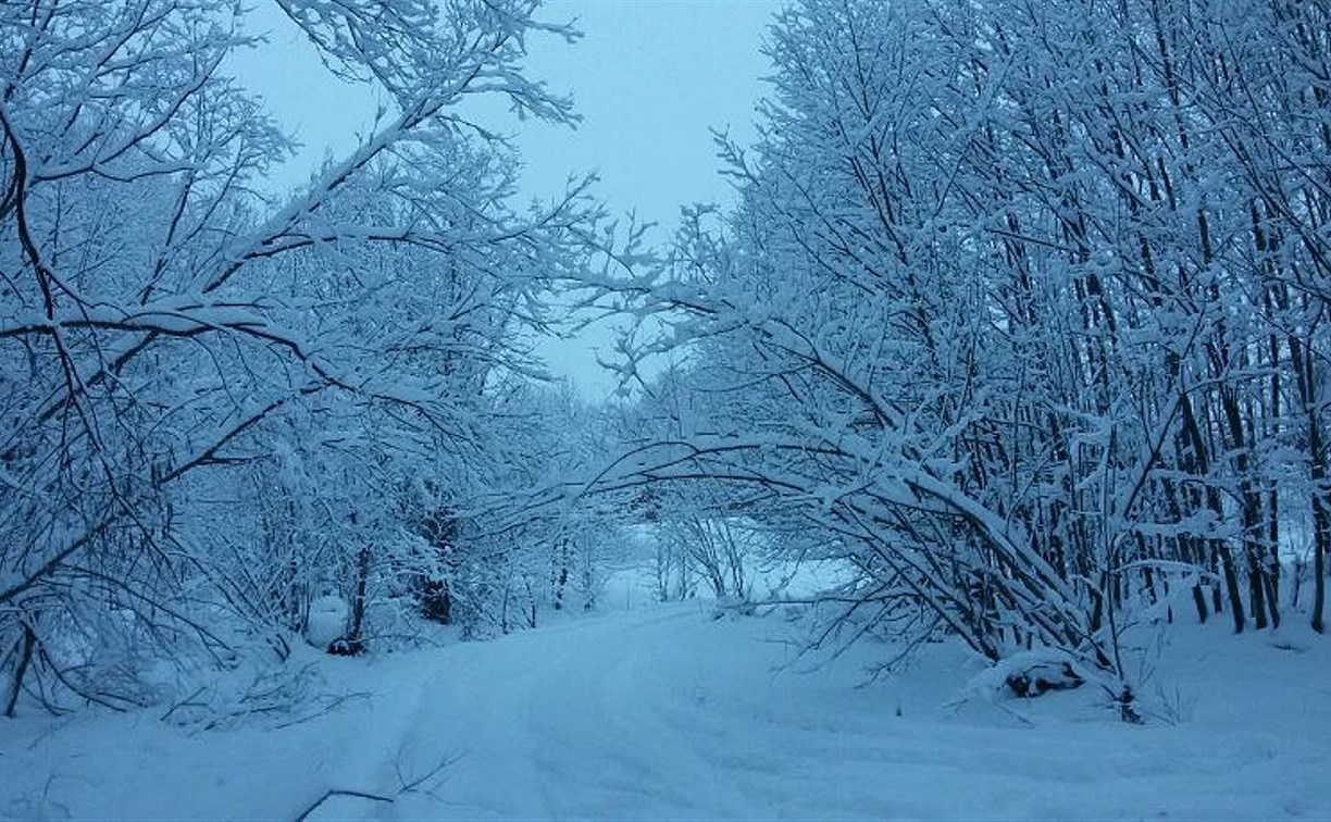 "Как шагнешь за порог - всюду иней": прогноз погоды на Сахалине и Курилах на первый день нового года