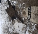 Мертвого мужчину обнаружили на берегу Татарского пролива в Невельском районе