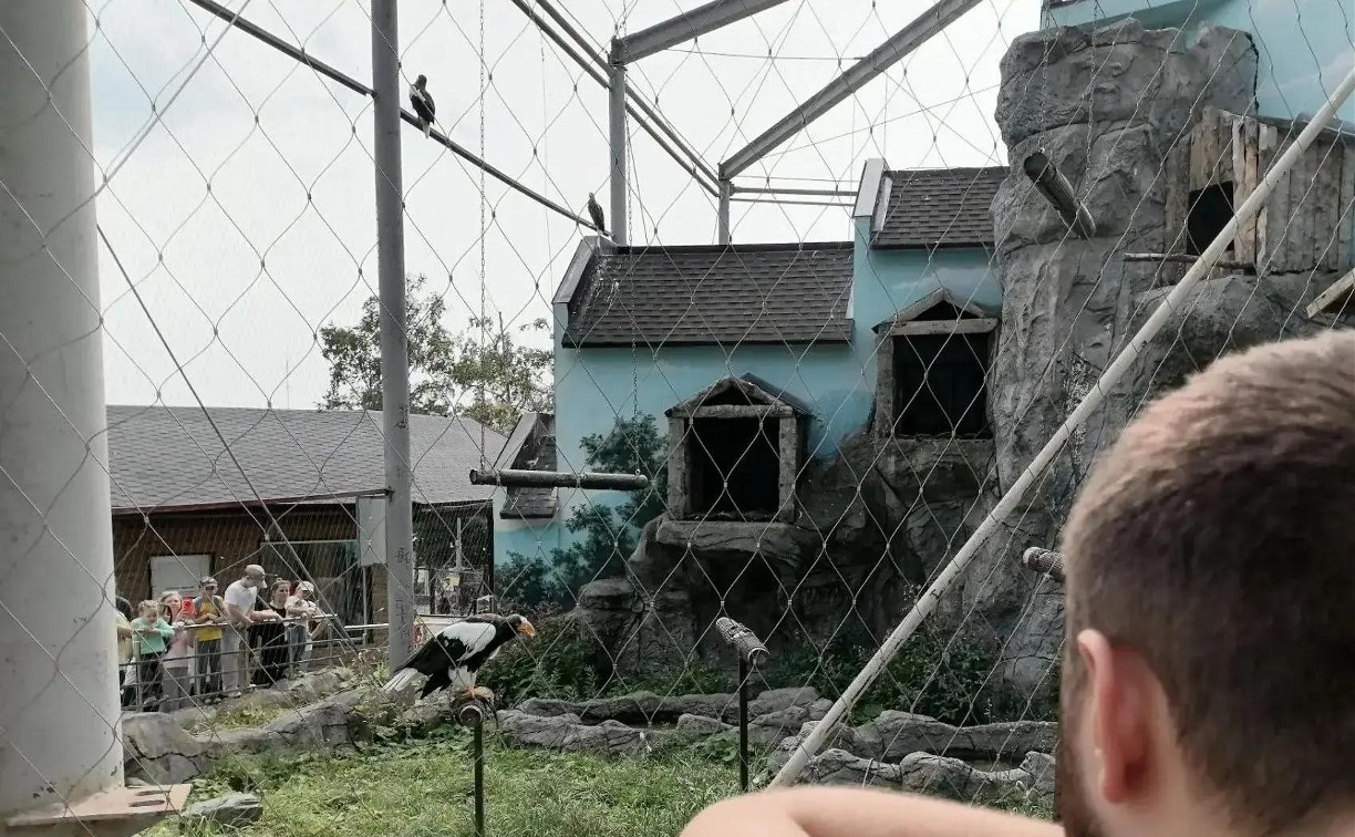 В Сахалинском зооботаническом парке для семей участников СВО провели "Тёплый выходной"