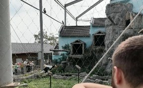 Общество