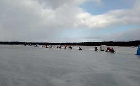 Происшествия