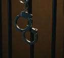 110 терактов предотвращено в России с начала 2024 года