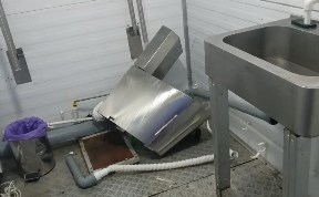 Общество