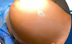 Общество