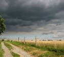 Пасмурно и дождливо будет в Сахалинской области: прогноз на 10 августа