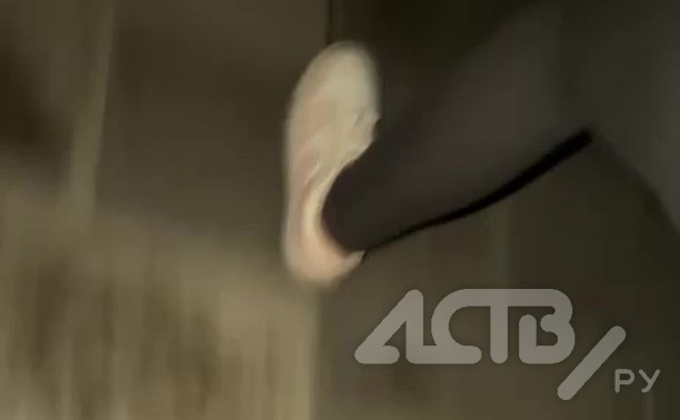 Сахалинка рассказала, как убегала от медведя на пляже в Аниве