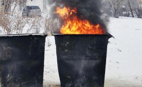Общество