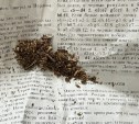 Жительница Углегорского района прятала наркотики в страницах книги про Шерлока Холмса