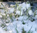Небольшой снег и до +14 градусов: какой будет погода 12 апреля во всех районах Сахалинской области