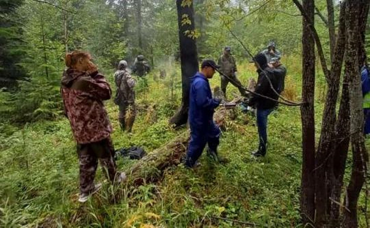 К поискам женщин, пропавших в лесу в Смирныховском районе, привлекают вертолёт