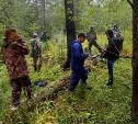 К поискам женщин, пропавших в лесу в Смирныховском районе, привлекают вертолёт
