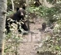 Огромный медведь встретил туристов на тропе возле Лягушки