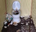 "Вонь на всю поляну": состояние туалета на мысе Птичьем привело в ужас сахалинцев