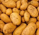 Минсельхоз региона: картофеля сахалинцам хватит