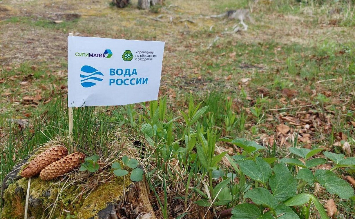 Сахалинцев приглашают принять участие в акции "Вода России"