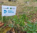 Сахалинцев приглашают принять участие в акции "Вода России"