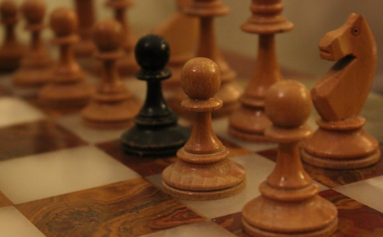 Сахалинские шахматисты организовали блиц-турнир в Интернете