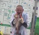 Мужчина размахивал игрушечным пистолетом и целовал лосося на площади Южно-Сахалинска