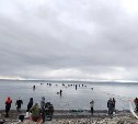 "Жаль, что не сима": море у побережья Сахалина бурлит от обилия селёдки