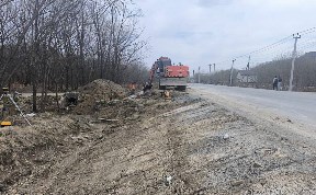 Общество