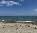 На Сахалине потепление до +22 °C, а на Курилах дожди и облачность: прогноз погоды для региона на 16 июня
