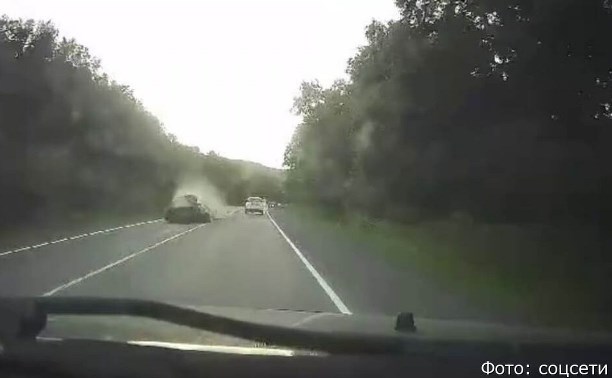 Очевидцы: медведь выскочил под колеса автомобиля на Камчатке и устроил жёсткое ДТП