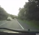 Очевидцы: медведь выскочил под колеса автомобиля на Камчатке и устроил жёсткое ДТП