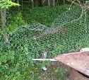 "Свалил забор, отпугивали выстрелами": в День молодёжи в СНТ Корсакова завалился медведь
