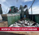 "Река нагревалась до +29 градусов": учёные обсудили причины провальной путины на Сахалине