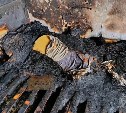 Стала известна одна из возможных причин смертельного пожара в Охе