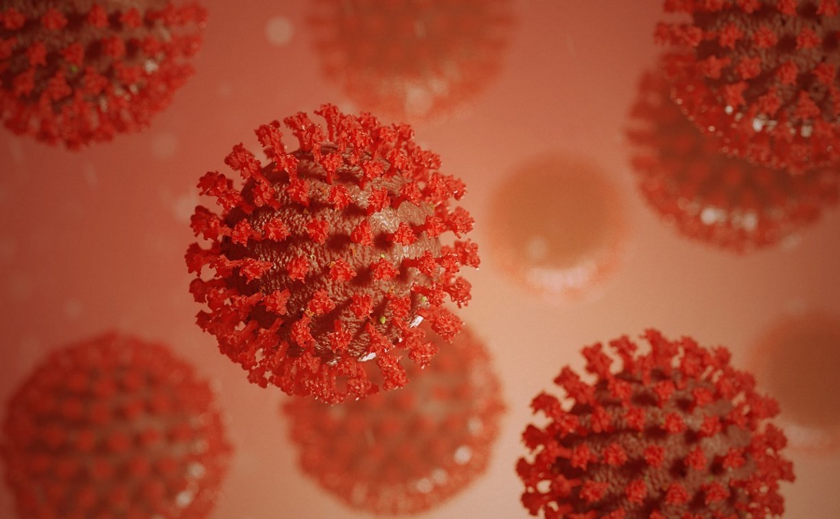 Меньше десятка случаев коронавируса выявлено за сутки на Сахалине