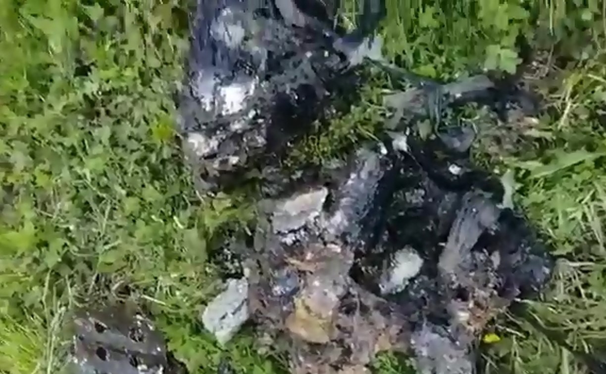 "Это капец": суровые сахалинские коммунальщики вытащили нечто из забившейся канализации