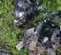 "Это капец": суровые сахалинские коммунальщики вытащили нечто из забившейся канализации