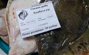 Общество