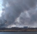 Для пострадавших от пожара в Красногорске организовали горячую линию