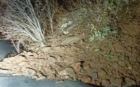 Происшествия