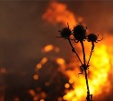 Высокая пожарная опасность прогнозируется в Охинском районе 