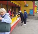 Доходы углегорских огородников резко упали из-за сгнившего под дождями урожая