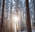 Ясно, но ветрено: прогноз погоды на Сахалине и Курилах 30 декабря