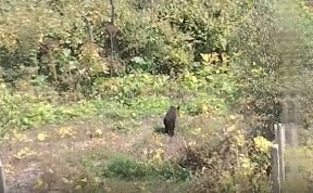 Общество