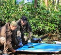 На горе Чехова и Южно-Сахалинском грязевом вулкане установили новые аншлаги